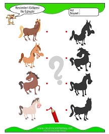 Gölgesi İle Eşleştir Çalışma Sayfaları